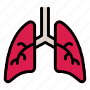 lungs, respiratory, medicine, human, organ