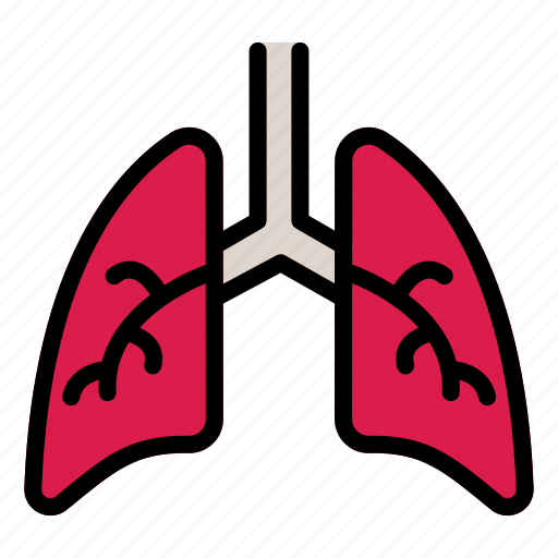 Lungs, respiratory, medicine, human, organ icon - Download on Iconfinder