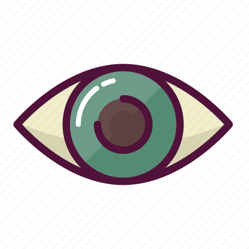 Eye, ophthalmology, spy, view, vision, look, see icon - Download on Iconfinder