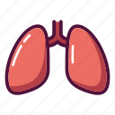 anatomy, chest, lungs, tuberculosis, xray, medicine, organ