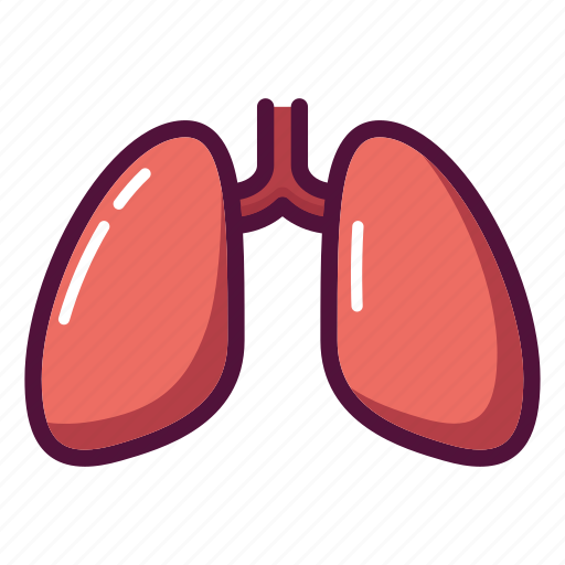 Anatomy, chest, lungs, tuberculosis, xray, medicine, organ icon - Download on Iconfinder