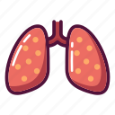 anatomy, lungs, pneumonia, tuberculosis, xray, medicine, organ