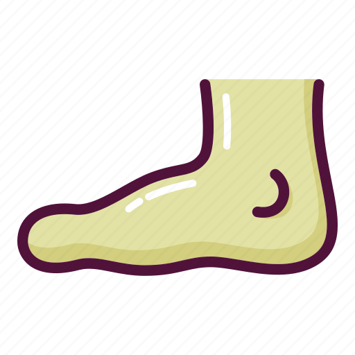 Feet, foot, leg, orthopedics, anatomy, body, human icon - Download on Iconfinder