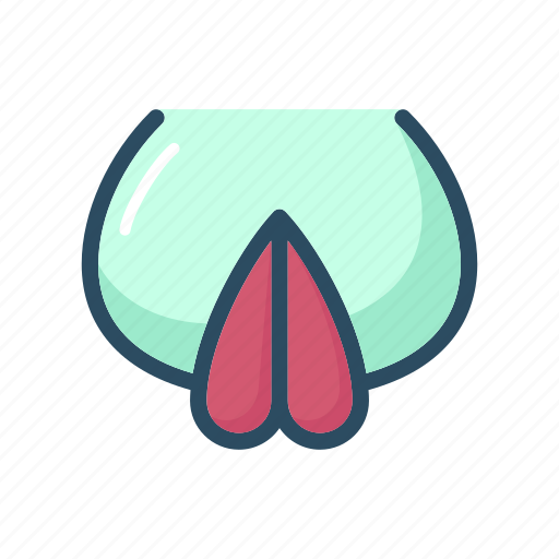 Labia, urogenital, urogenital system, uterus, vagina, woman, female icon - Download on Iconfinder