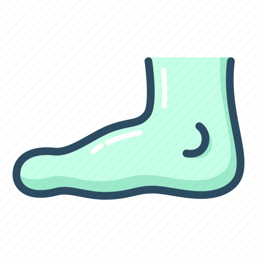 Feet, foot, leg, orthopedics, anatomy, body, organ icon - Download on Iconfinder
