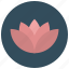 flower, lotus, meditation 