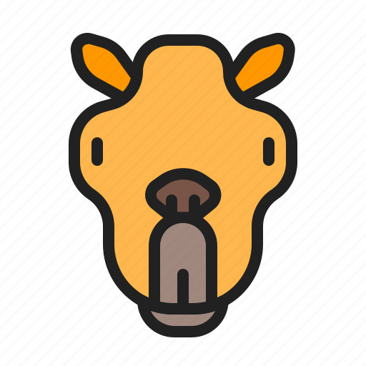 Animal, camel, desert, mammals, zoo icon - Download on Iconfinder