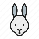 animal, bunny, mammals, pet, rabbit