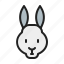animal, bunny, mammals, pet, rabbit 