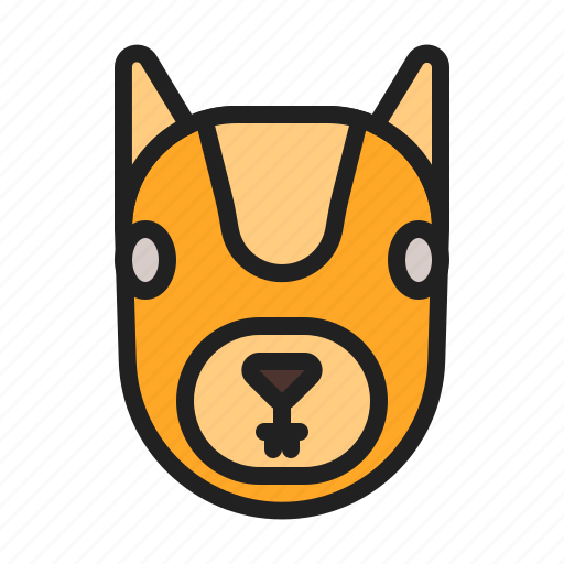 Animal, cute, mammals, squirrel icon - Download on Iconfinder