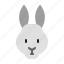 animal, bunny, mammals, pet, rabbit 