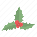 christmas, decoration, mistletoe