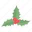 christmas, decoration, mistletoe 