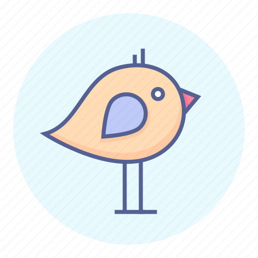 Baby, bird, chicken, nestling icon - Download on Iconfinder