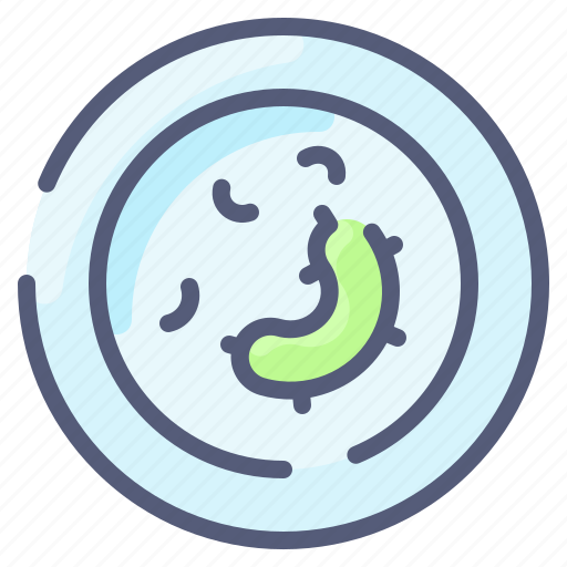 Bacteria, biology, dish, laboratory, petri, research, science icon - Download on Iconfinder