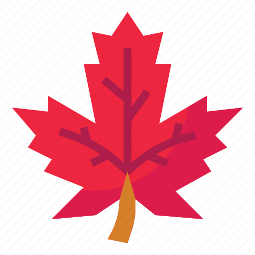 Maple, leaf, autumn, nature, yellow, botanical, forest icon - Download on Iconfinder