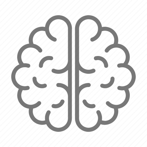 Anatomy, brain, doctor, head, matter, human brain icon - Download on Iconfinder