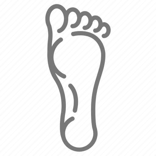 Arch, foot, heel, human body, toes icon - Download on Iconfinder