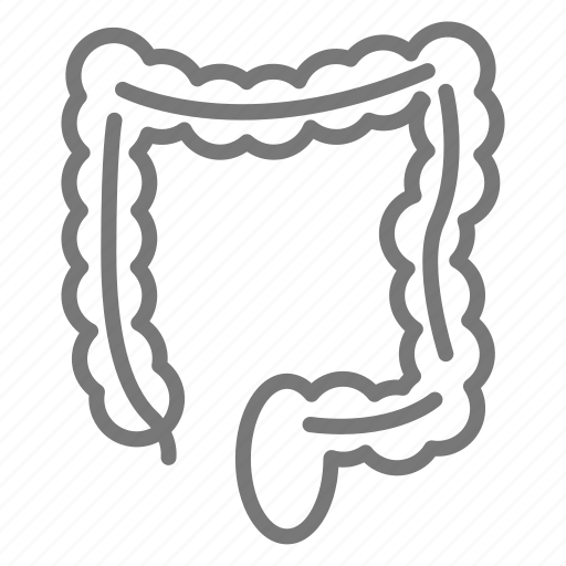 Digestive, eat, gastrointestinal, intestines, tract, guts icon - Download on Iconfinder