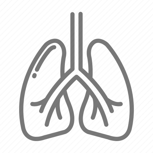 Anatomy, bronchial, chest, lungs, windpipe icon - Download on Iconfinder