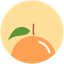citrus, food, health, nutrition, orange 