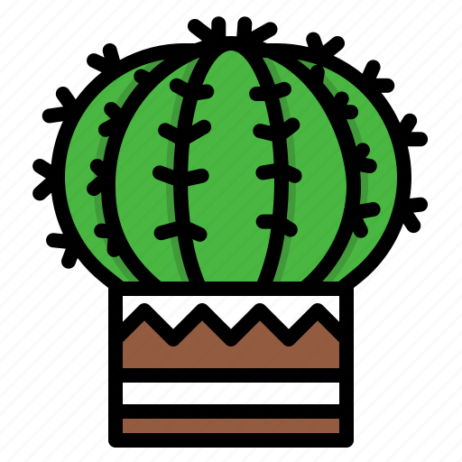 Cactus, plant, cute, green, nature, garden icon - Download on Iconfinder