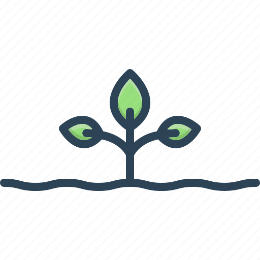 Origins, root, grow, natural, seedling, sprout, rooter icon - Download on Iconfinder
