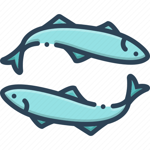 Anchovy, animal, aquatic, fish, fishery, undersea, whale icon - Download on Iconfinder