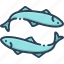 anchovy, animal, aquatic, fish, fishery, undersea, whale 