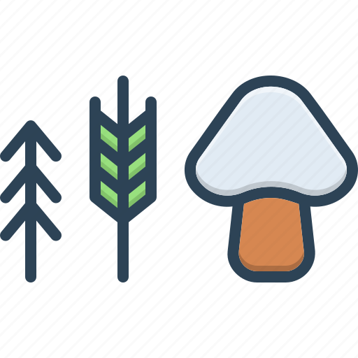 Species, category, leaf, nature, plant, branch, forest icon - Download on Iconfinder
