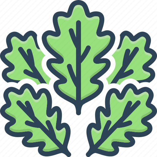 Oaks, leaf, tree, nature, botany, chestnut, environment icon - Download on Iconfinder