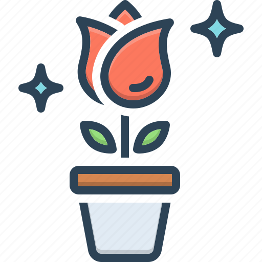 Beautifully, delightfully, attractively, charmingly, rose, flower, plant icon - Download on Iconfinder