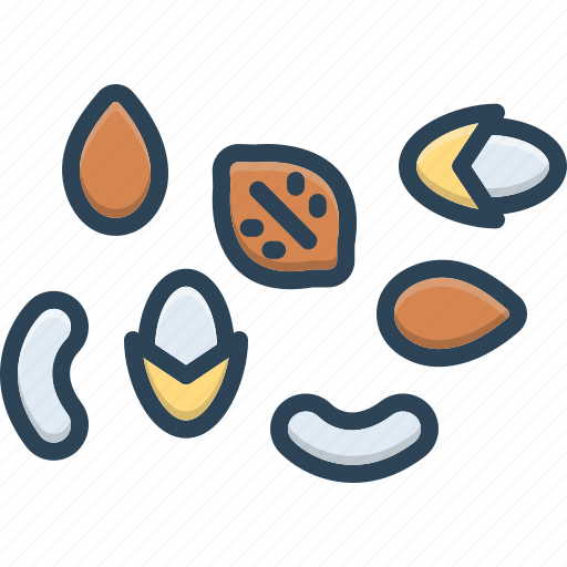 Nuts, cocoa, almond, cashew, dietetics, pod, protein icon - Download on Iconfinder