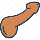 penis, organ, male, sexual, reproductive, gender, sensuality, phallic
