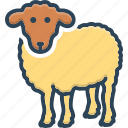 sheep, ewe, animal, farm, cattle, mammal, lamb, agriculture, wool