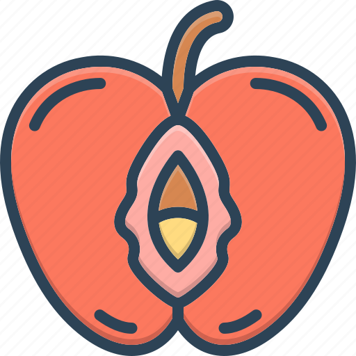 Vulva, vagina, pudenda, peach, splash, nectarine, whole icon - Download on Iconfinder