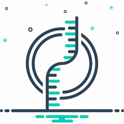 Dna, gene, chromosome, heredity, rna, genetic code helix, ribonucleic acid icon - Download on Iconfinder