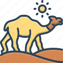 camel, animals, cattle, dromedary, traveller, dune, desert traveller, double humped