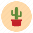 cactus, office, plant, potted