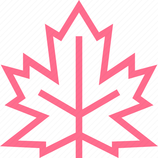 Canada, forest, leaf, maple, nature, red, tree icon - Download on Iconfinder