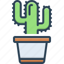 cactus, carnival, desert, forest, natural, plant, thorn