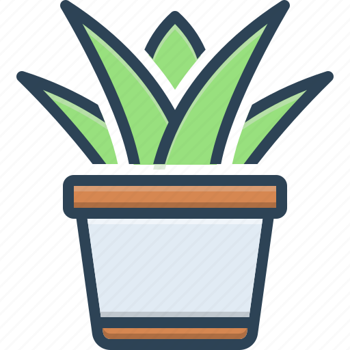 Aloe vera, floral, green, herbal, juicy, nature, succulent plant icon - Download on Iconfinder