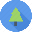 christmas, fir tree, forest, tree