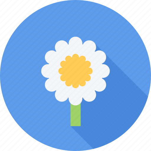 Eco, flower, flowers, plant icon - Download on Iconfinder
