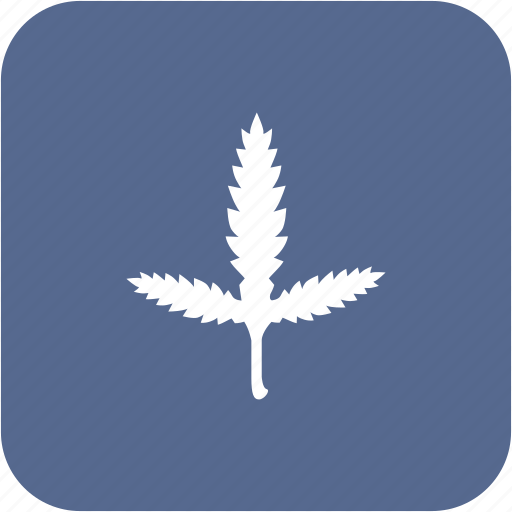 Branch, canabis, leaf, plant icon - Download on Iconfinder