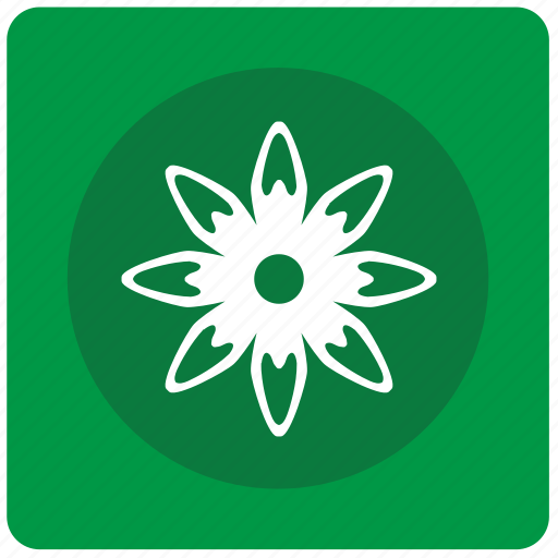 Bud, calendula, flower icon - Download on Iconfinder