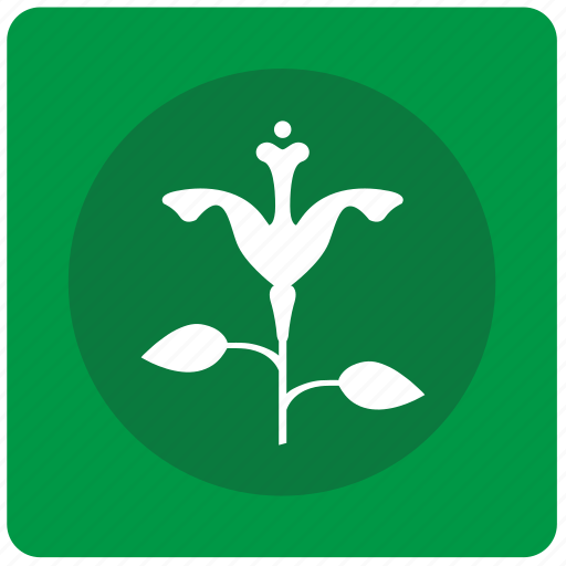 Bud, calendula, flower, plant, rose icon - Download on Iconfinder