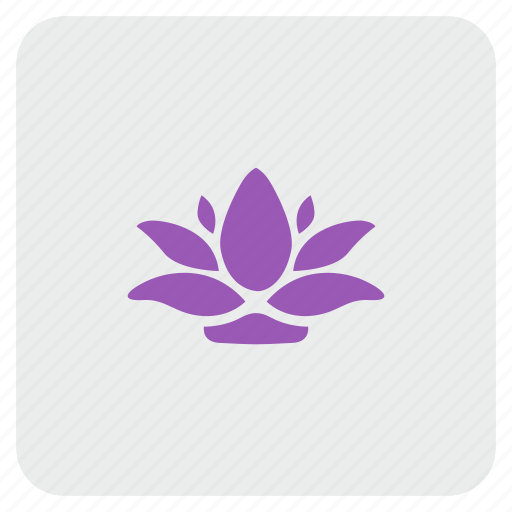 Calendula, garden, home, plant, pot icon - Download on Iconfinder