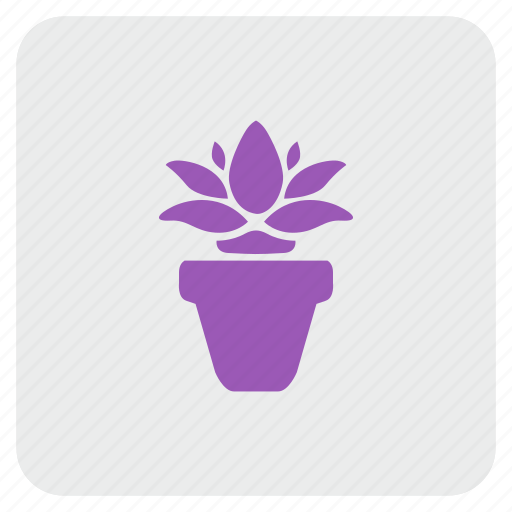 Calendula, flower, home, plant icon - Download on Iconfinder