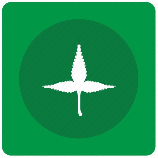 Canabis, drug, leaf, medical, plant, treatment icon - Download on Iconfinder